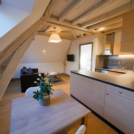 Aparthotel De Tourisme Parc