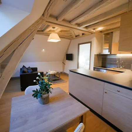 Hotel apartamentowy De Tourisme Parc Tours