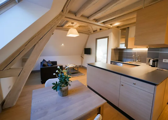 Hotel apartamentowy De Tourisme Parc